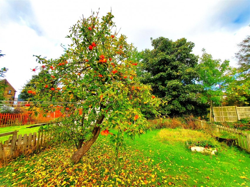 Images for Long Lane, Dalton, Huddersfield, HD5
