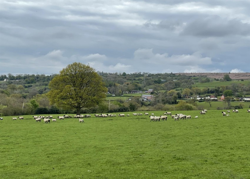 Images for Penygelli Road, Coedpoeth