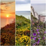 Images for Seahouse, Dorothy Avenue, Peacehaven