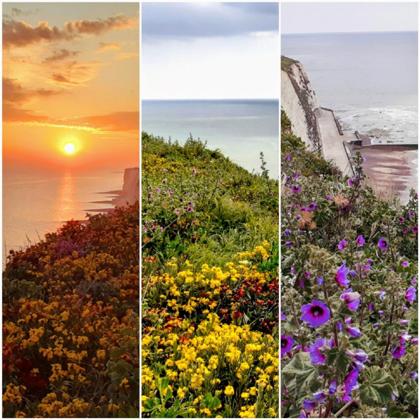 Images for Seahouse, Dorothy Avenue, Peacehaven