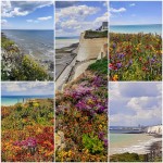 Images for Seahouse, Dorothy Avenue, Peacehaven