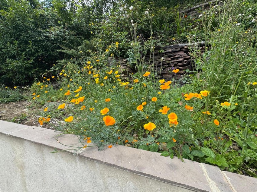 Images for Exley Crescent, Keighley