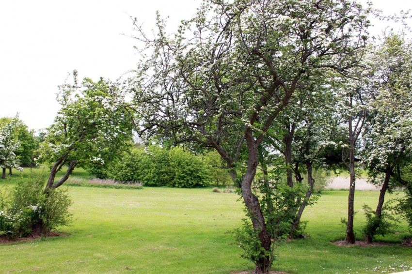 Images for Bannockburn Way, Billingham
